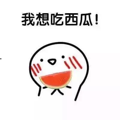 我想要13 吃瓜,13位明星的瓜田奇遇记